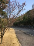 0325①.jpg