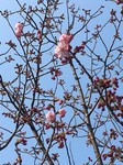 0325②.jpg