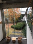 黄葉.jpg